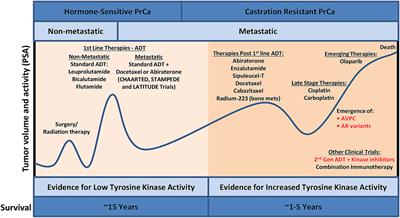 Impact of Phosphoproteomics in the Era of Precision Medicine for Prostate Cancer